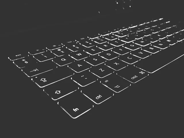 clavier panda risco RW332KPP